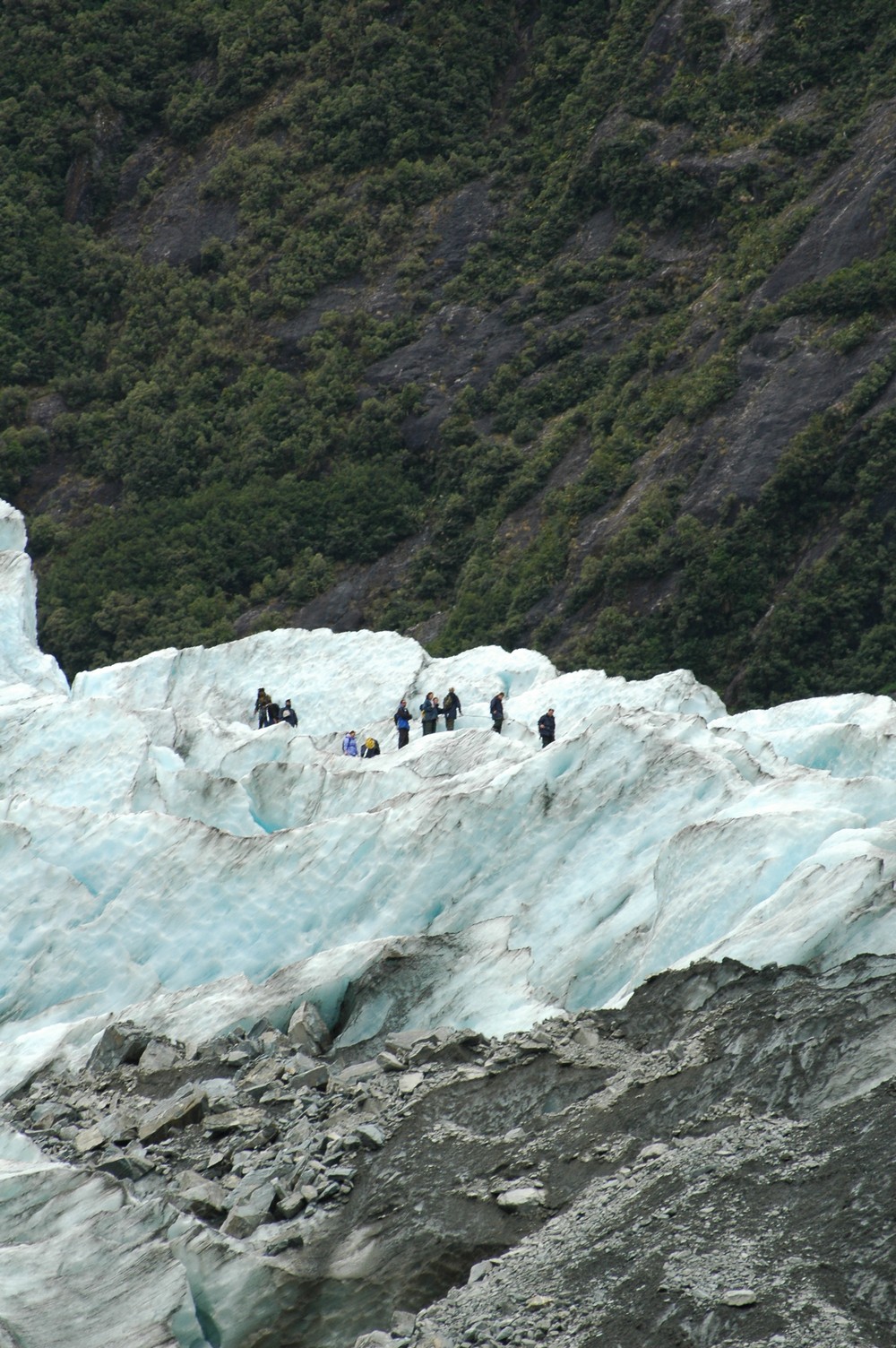 102   24 01   Greymouth   Fox Glacier
